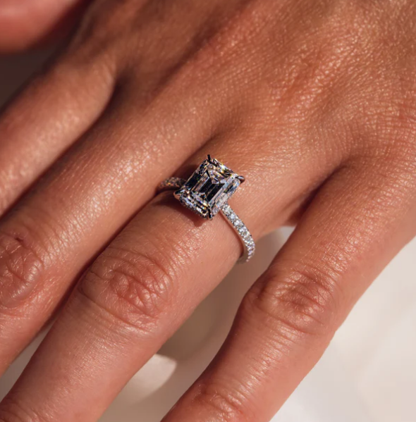 Jasmine with Pave