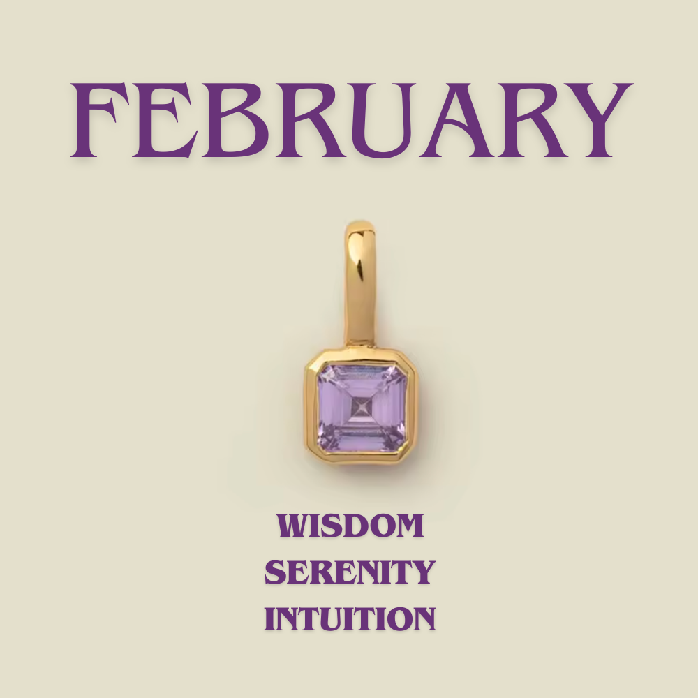 ライフパス バースストーン - 1月