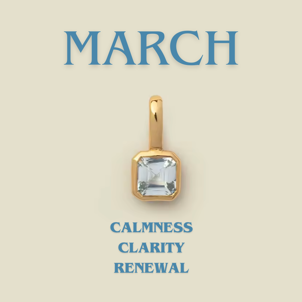 ライフパス バースストーン - 1月