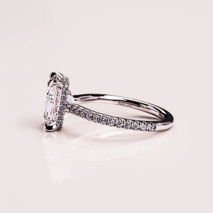 Jasmine with Pave