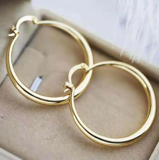 Glossy Big Circle Earrings